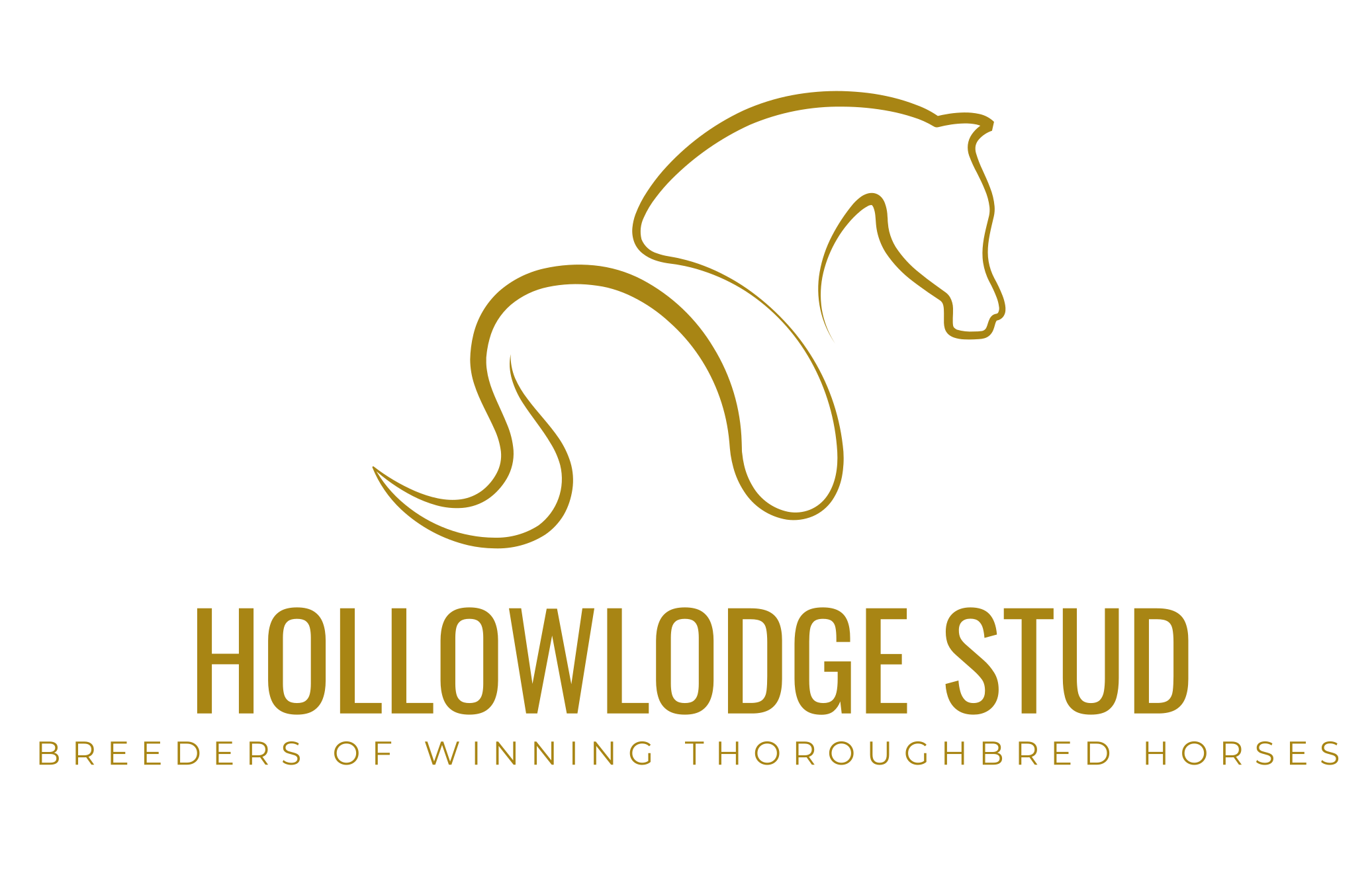 www.hollowlodgestud.com